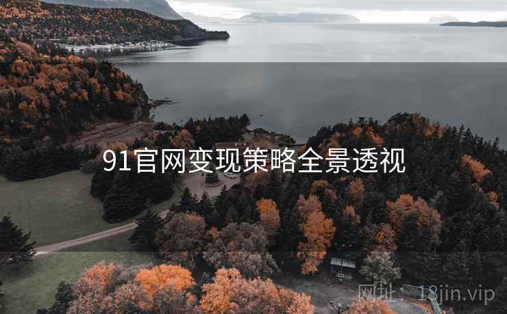91官网变现策略全景透视