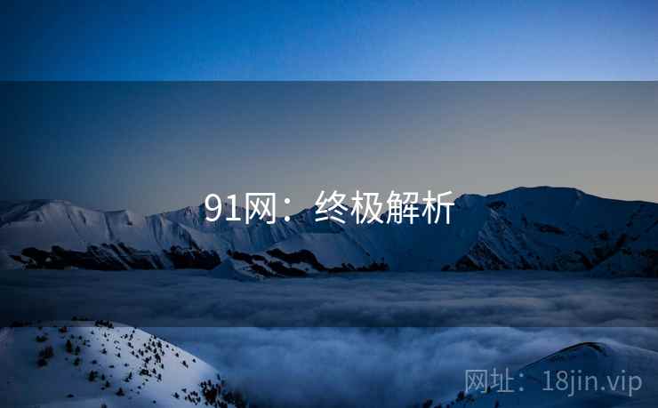 91网:终极解析