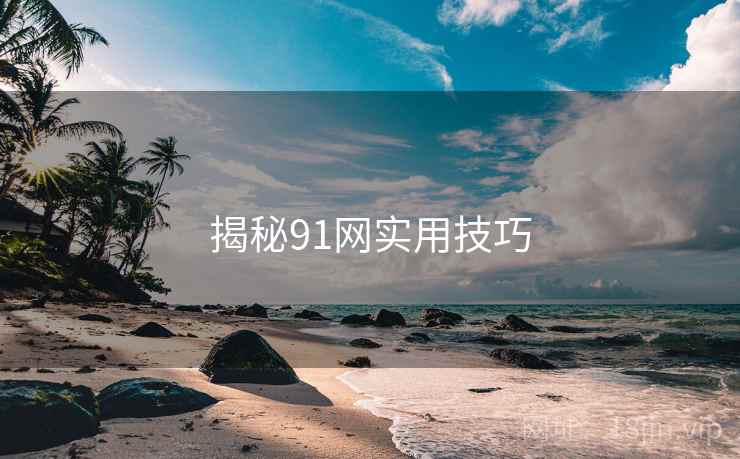 揭秘91网实用技巧