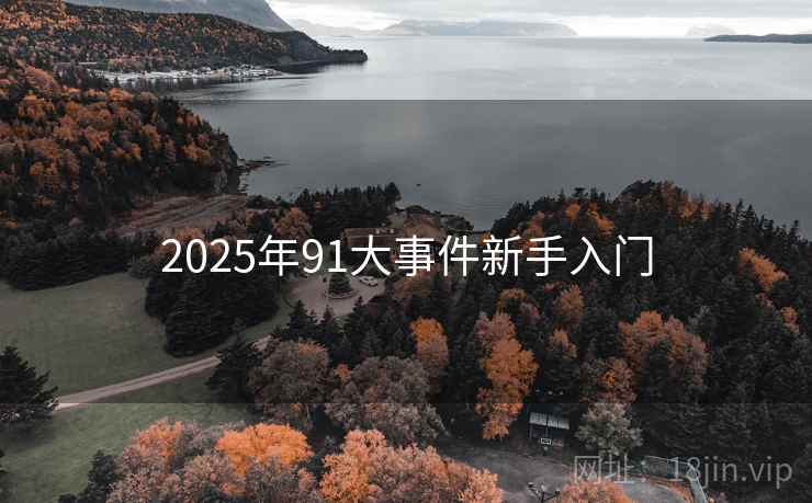 2025年91大事件新手入门